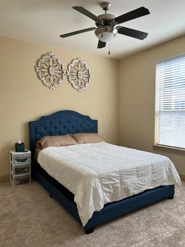 Bedroom with blue upholstered bed, white bedding, nightstand, ornamental wall medallions, ceiling fan, and window with blinds