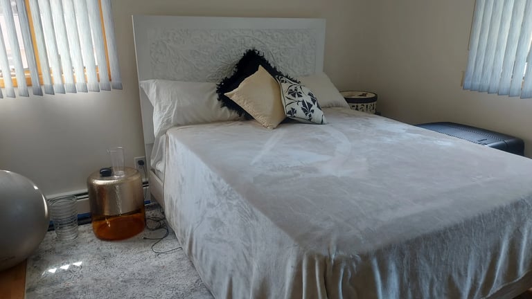 Minimalist bedroom with a white bed, black and cream pillows, bedside lamp, and gray carpet under natural window light