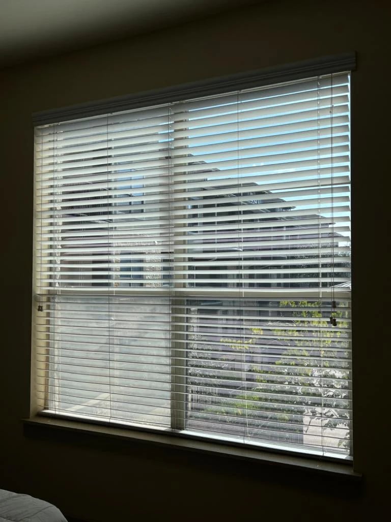 A window with horizontal blinds partially open, showing a mountain landscape view and green foliage outside