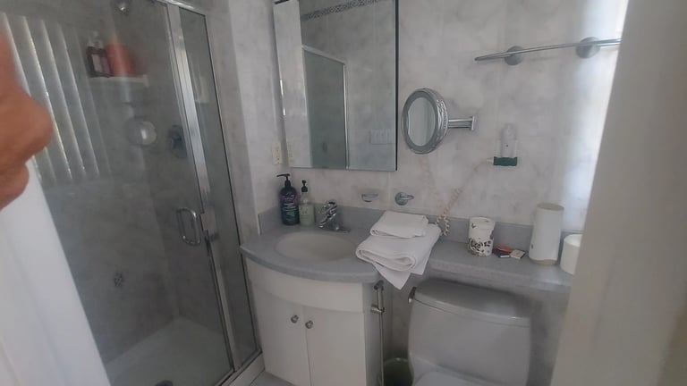 Modern bathroom with glass shower enclosure, vanity sink, large mirror, and white toilet